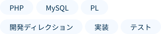 PHP, MySQL, PL, 開発ディレクション, 実装, テスト