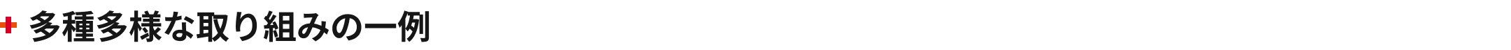 多種多様な取り組みの一例