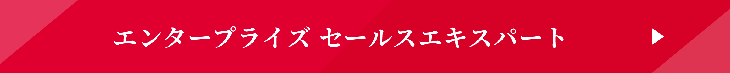 エンタープライズセールスエキスパート