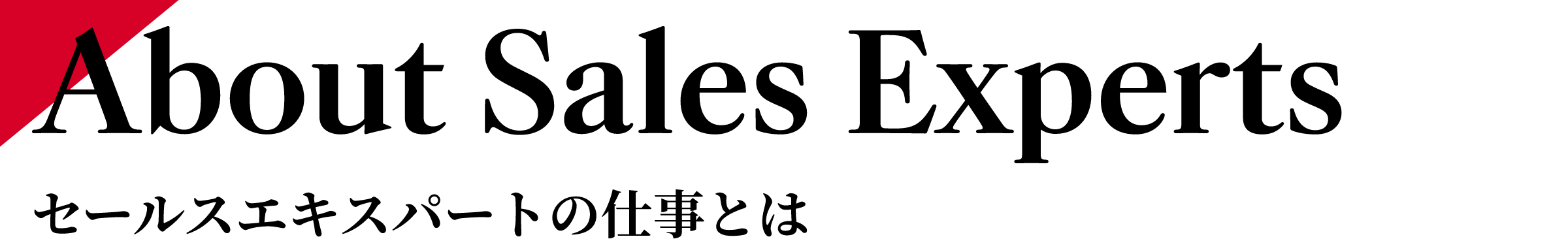 セールスエキスパートの仕事とは