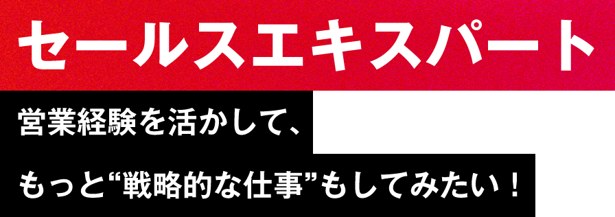 【セールスエキスパート】営業経験を活かして、もっと“戦略的な仕事”もしてみたい！
