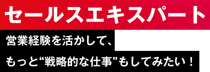 【セールスエキスパート】営業経験を活かして、もっと“戦略的な仕事”もしてみたい！