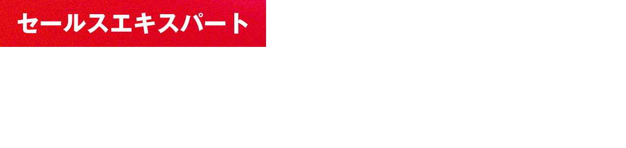 【セールスエキスパート】1営業”を超えて、経営のパートナーに。お客様の経営課題を深く理解し、課題解決に導く