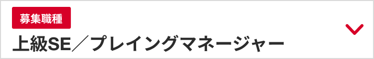 美醜職種：上級SE／プレイングマネージャー